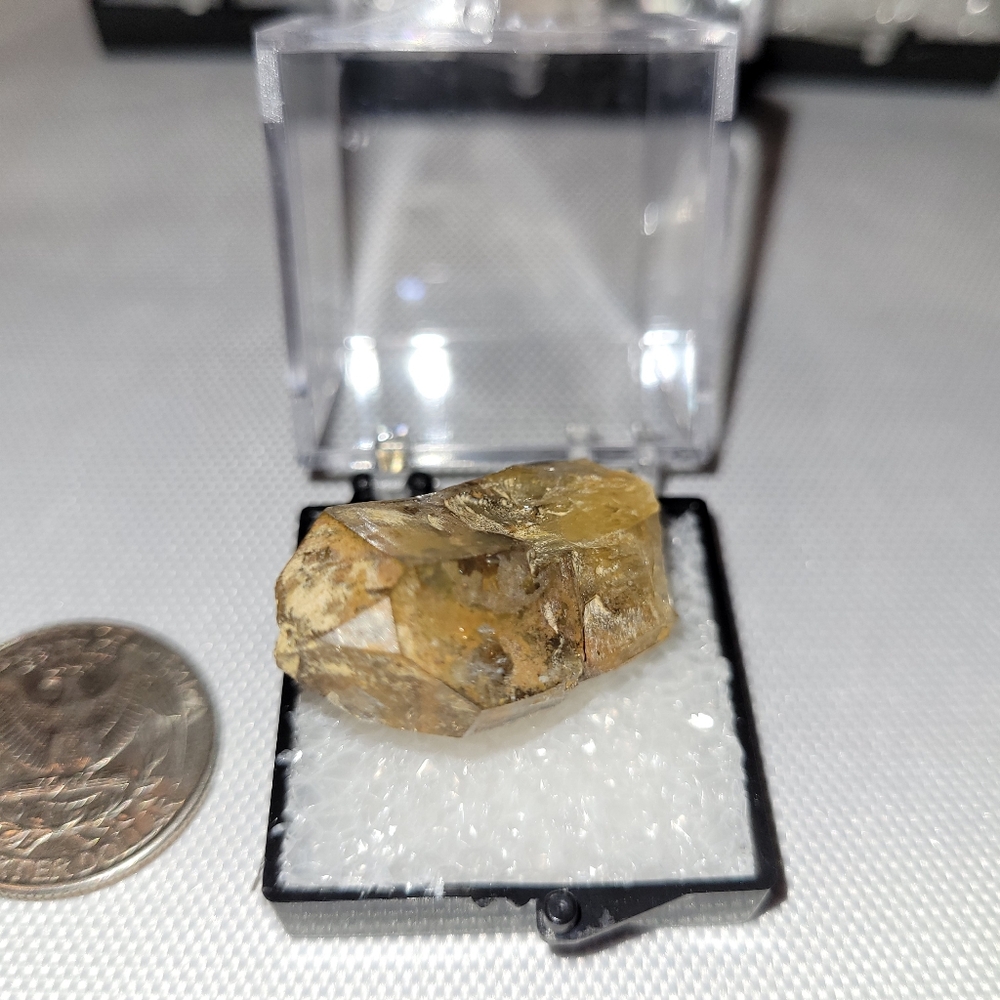 Rare Large Terminated Montana Quartz Scepter with Iron Coating